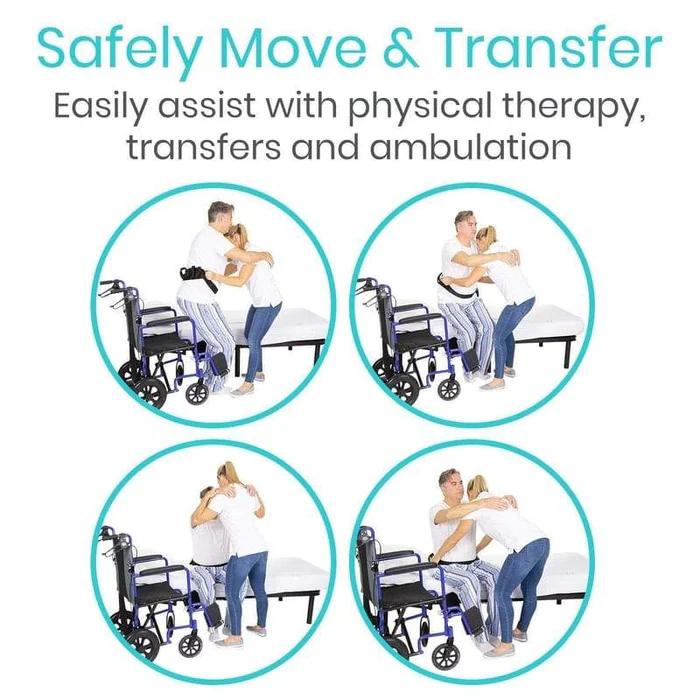 transfer belt