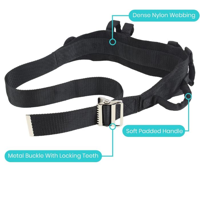 transfer belt with handles