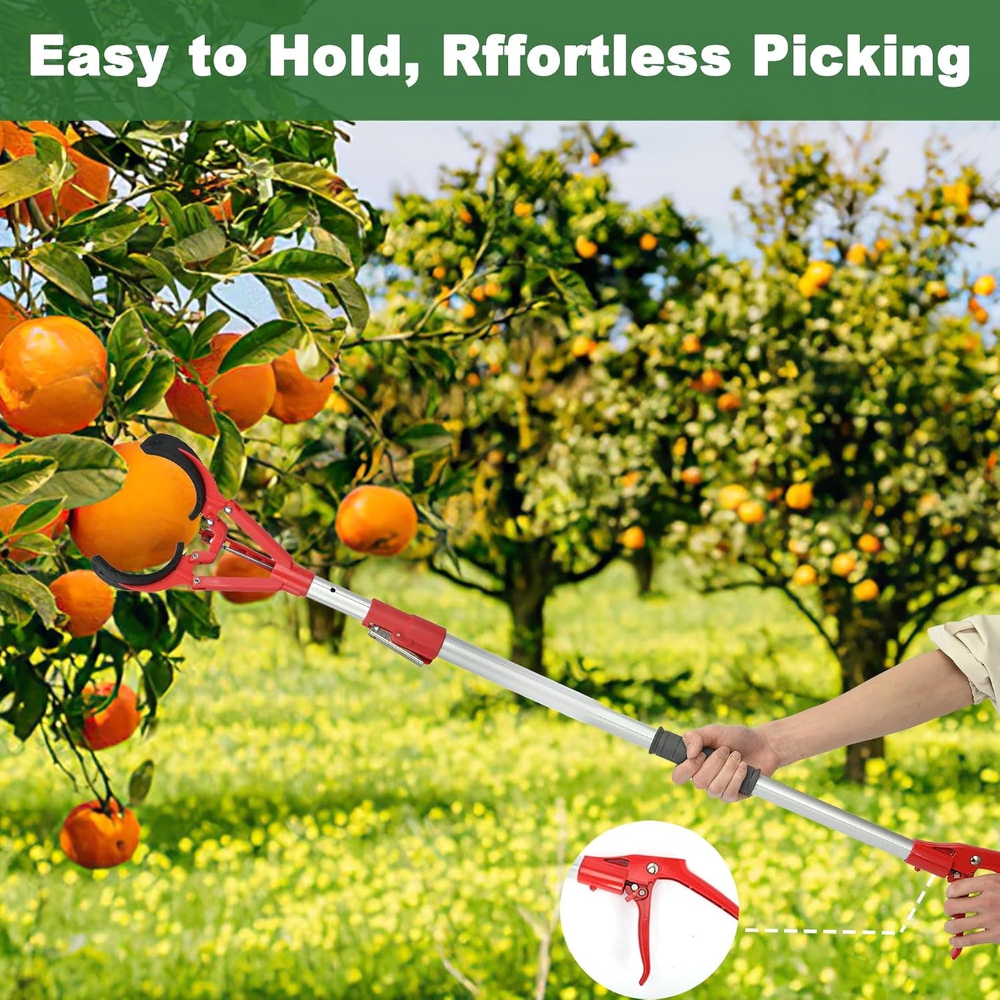 Lightweight Extendable Fruit Picker for High Branches