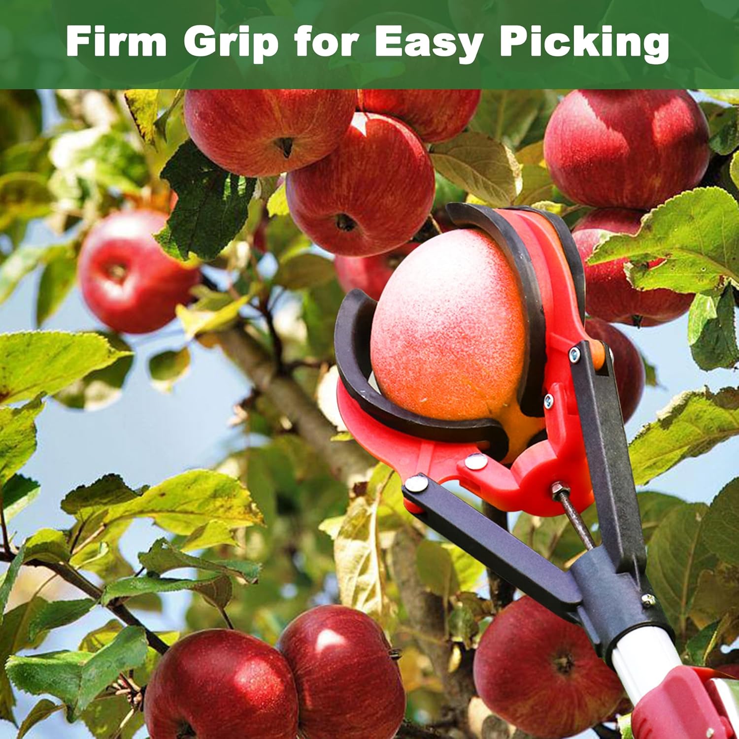 Long Reach Fruit Picker for Apples, Pears, Peaches, and More