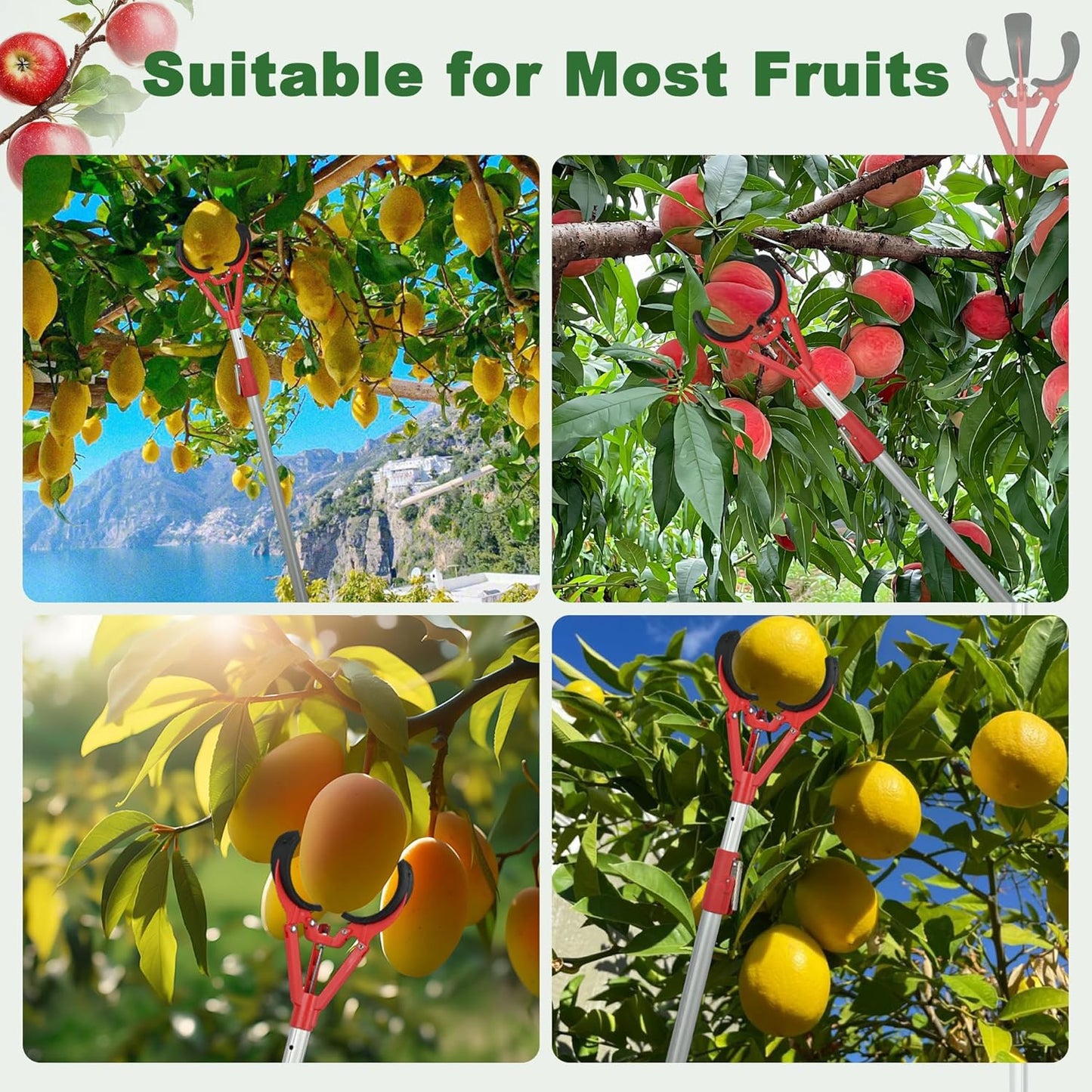 Durable Aluminum Fruit Picker for Home Gardens and Orchards