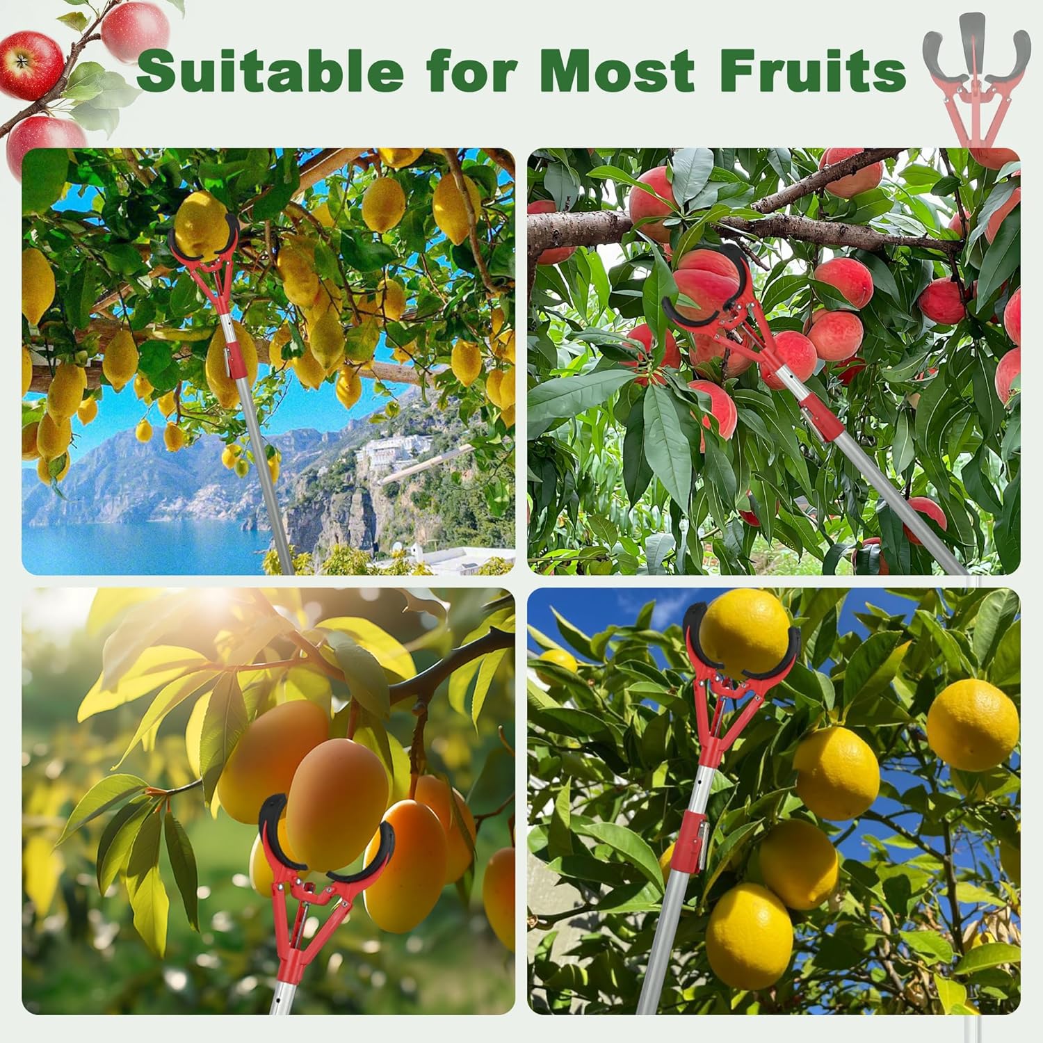 Durable Aluminum Fruit Picker for Home Gardens and Orchards