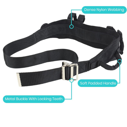 transfer belt with handles

