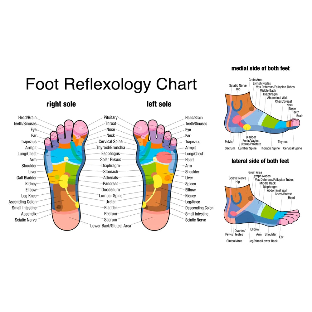 Foot Pain Relief Roller