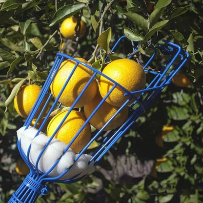 deep basket fruit catcher