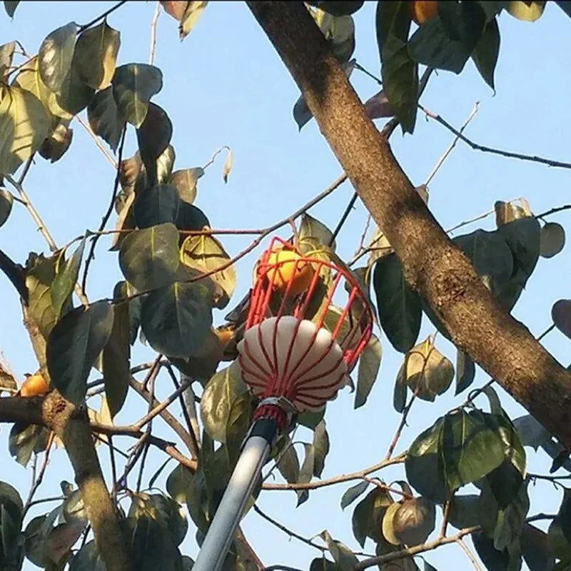 aluminum fruit picker head